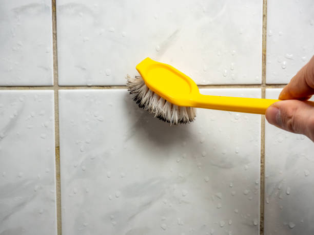 Best Mold Testing and Inspection Services in Green, OR
